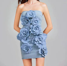 Load image into Gallery viewer, Baby Blue Florence Dress